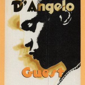 D'Angelo 1996 Brown Sugar Concert Tour GUEST Backstage Pass