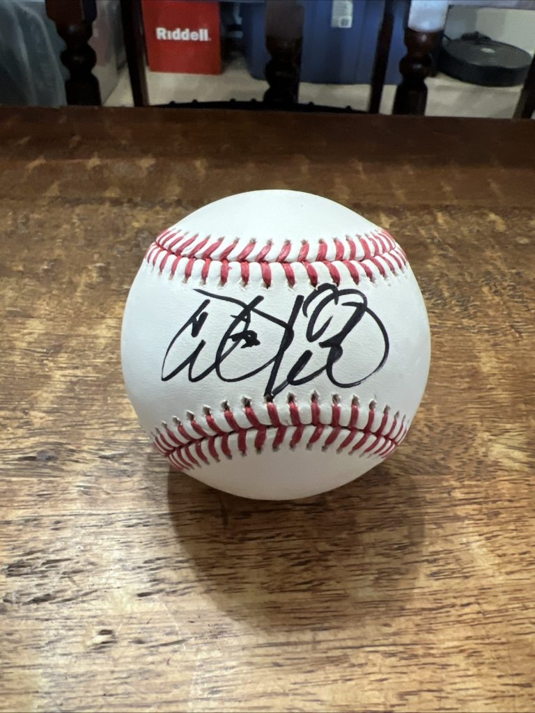 Steve Aoki Signed Baseball JSA Coa Autographed