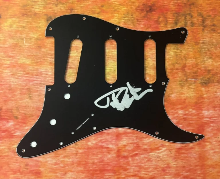 GFA All That Remains Band  * JASON RICHARDSON *  Signed Electric Pickguard COA