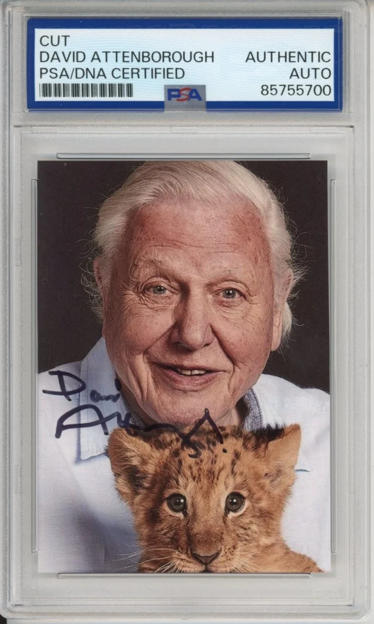 DAVID ATTENBOROUGH SIGNED AUTOGRAPH PLANET EARTH LION PHOTOGRAPH PSA DNA COA