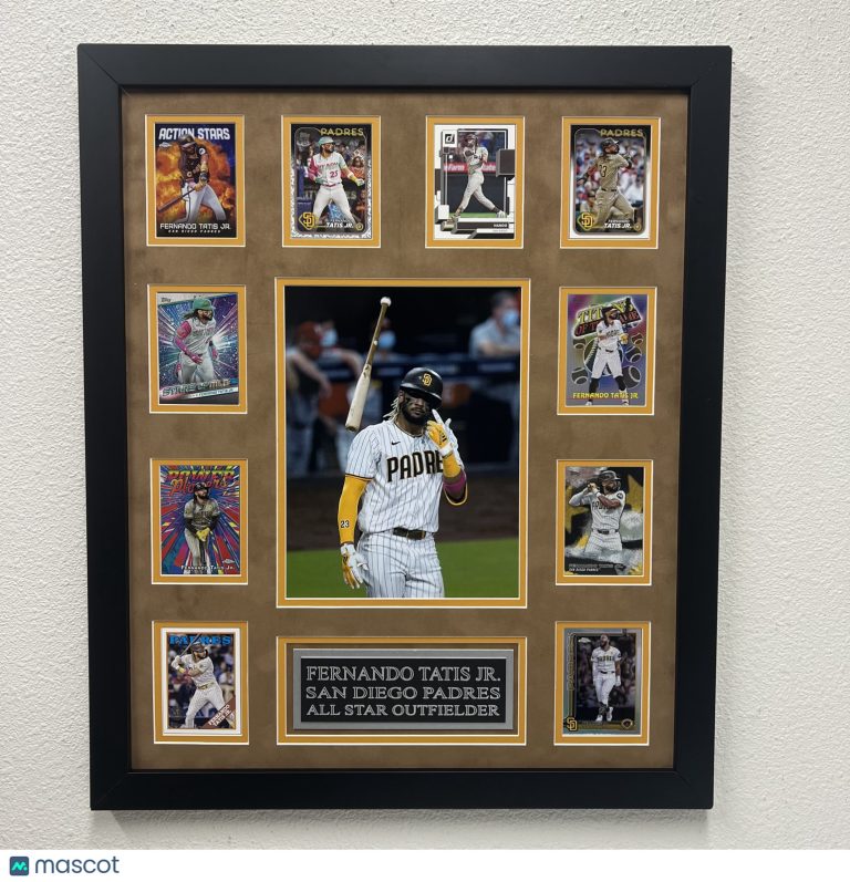 Fernando Tatís Jr 10-Card Custom Display Frame San Diego Padres