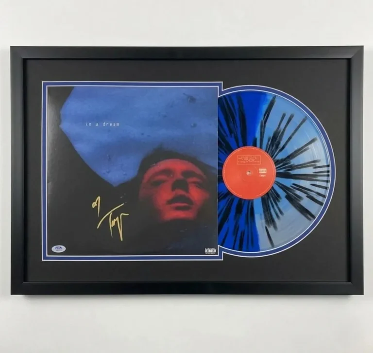 Troye Sivan Signed In a Dream Vinyl Custom Framed Album PSA Autographed