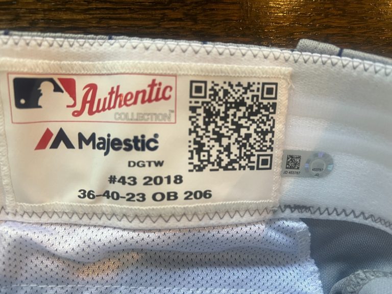 GAME USED ? ISSUED BASEBALL PANTS DETROIT TIGERS STARS TBTC 2018 STEVE LIDDLE