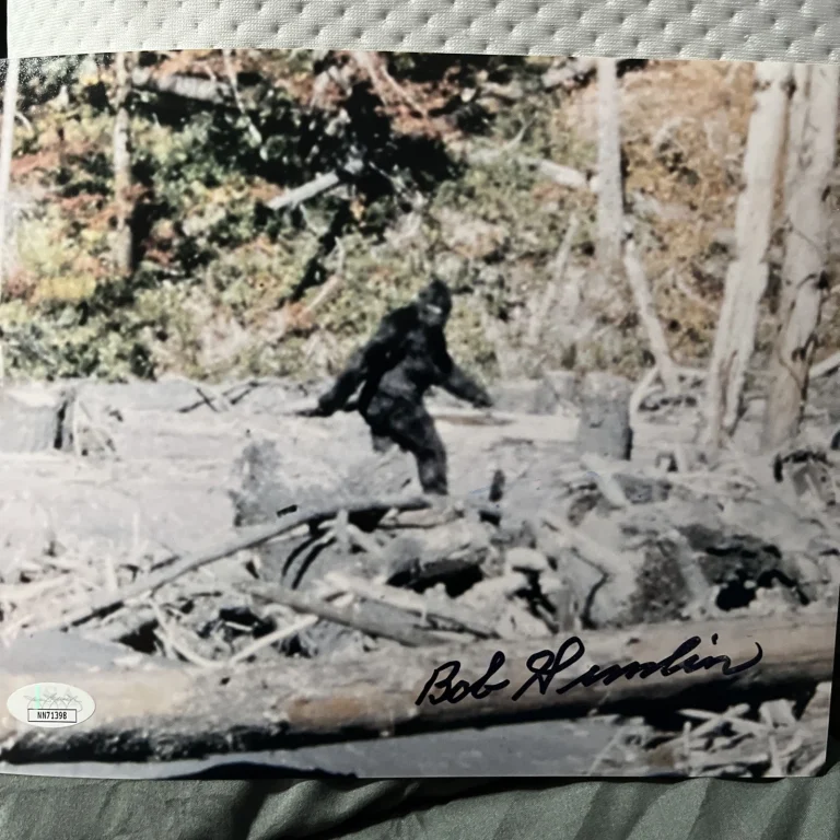 Bob Gimlin REAL hand SIGNED Bigfoot Photo COA Sasquatch Patterson-Gimlin JSA