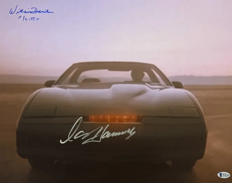 David Hasselhoff William Daniels Signed 16x20 Photo Knight Rider Beckett Witness