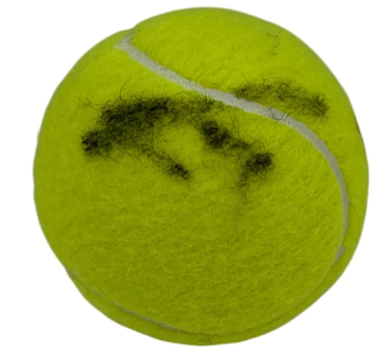 Joao Fonseca Signed Wilson US Open 3 Tennis Ball Authentic Autograph JSA COA