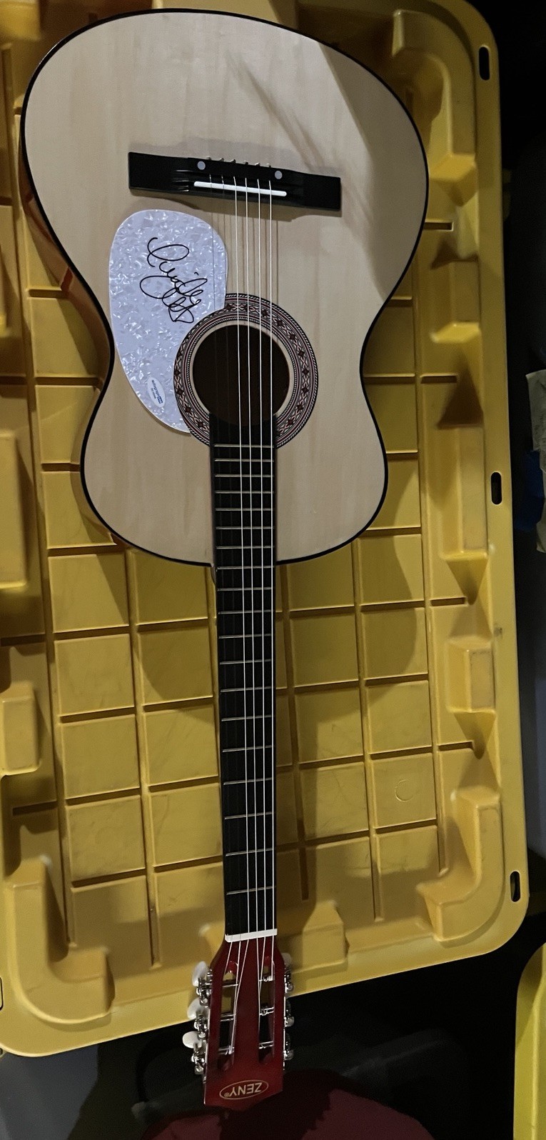 TENILLE ARTS SIGNED AUTOGRAPHED 38” Acoustic Guitar ACOA COA LOVE HEARTBREAK