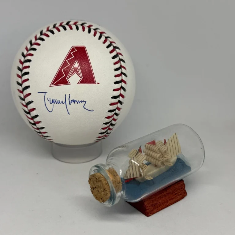 Randy Johnson signed Diamondbacks Team Stitch Logo Baseball JSA COA Auto A4420