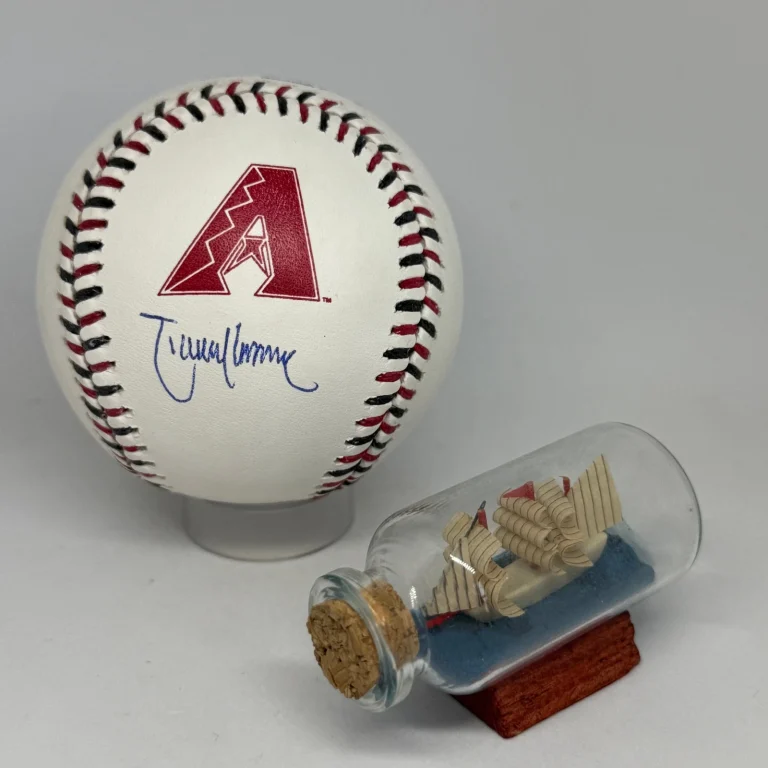 Randy Johnson signed Diamondbacks Team Stitch Logo Baseball JSA COA Auto A4438