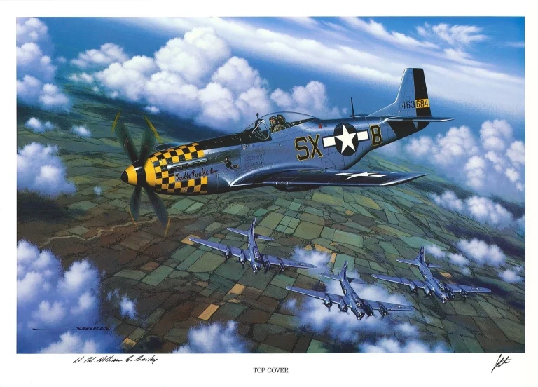 William Bailey Signed Top Cover Print Stan Stokes P-51 Mustang 353rd FG AIV