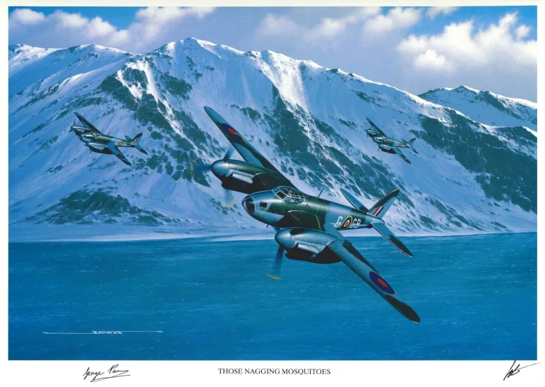 George Parry Signed Those Nagging Mosquitoes Print Stan Stokes RAF AIV