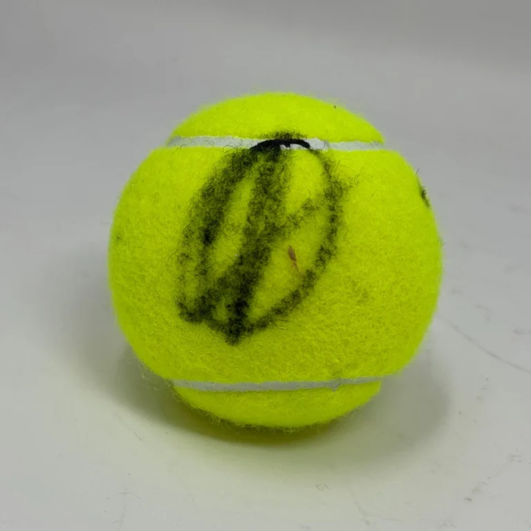 Novak Djokovic Signed Autograph Tennis Ball Wimbledon US Open Champion JSA COA