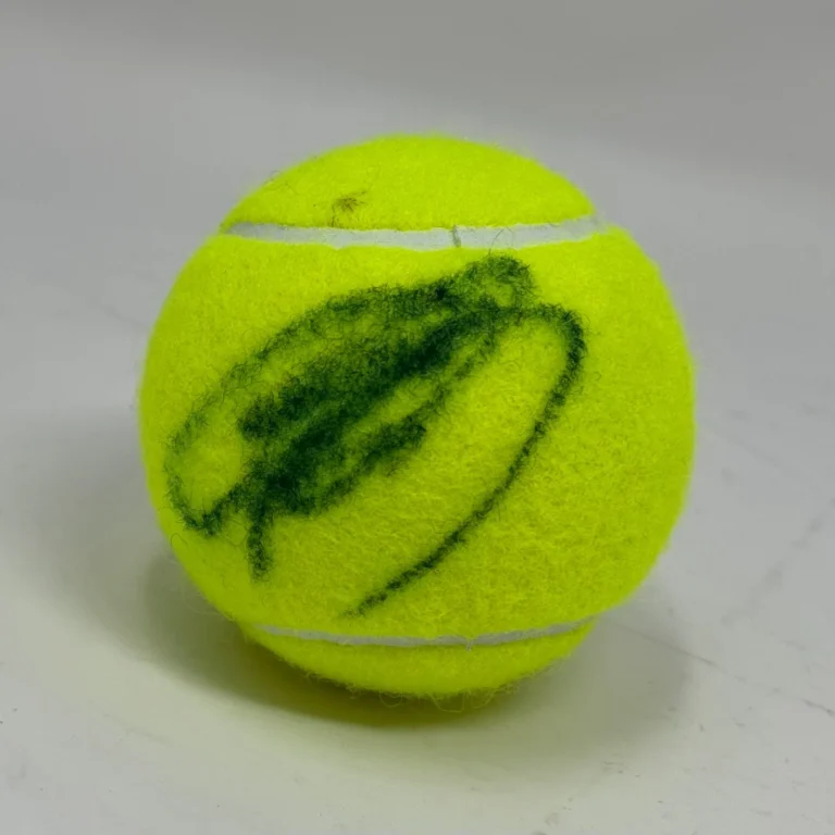 Novak Djokovic Signed Autograph Tennis Ball Wimbledon US Open Champion JSA COA