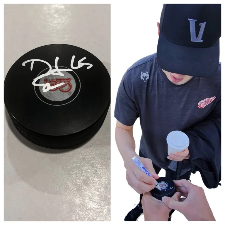DOMINIK SHINE SIGNED DETROIT RED WINGS HOCKEY PUCK W/ CASE COA