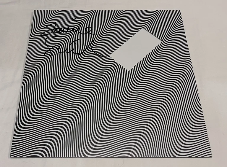 JAMIE XX SIGNED IN WAVES VINYL RECORD JSA