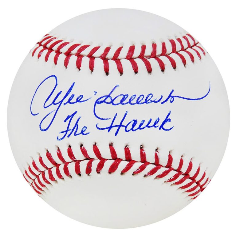 Cubs ANDRE DAWSON Signed Rawlings Official MLB Baseball w/The Hawk - SCHWARTZ