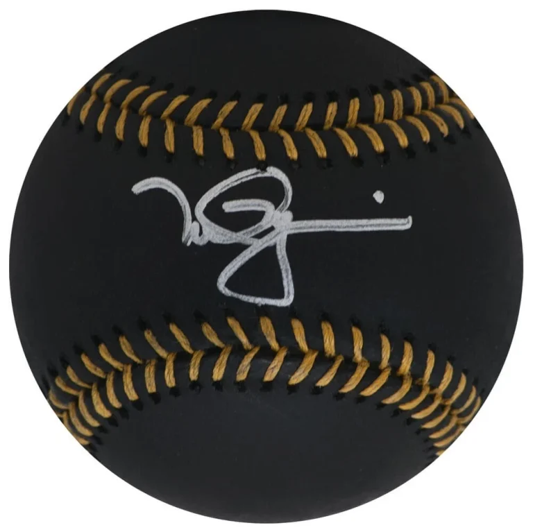 Mark McGwire (A's / CARDINALS) Signed Rawlings Black MLB Baseball (SCHWARTZ COA)