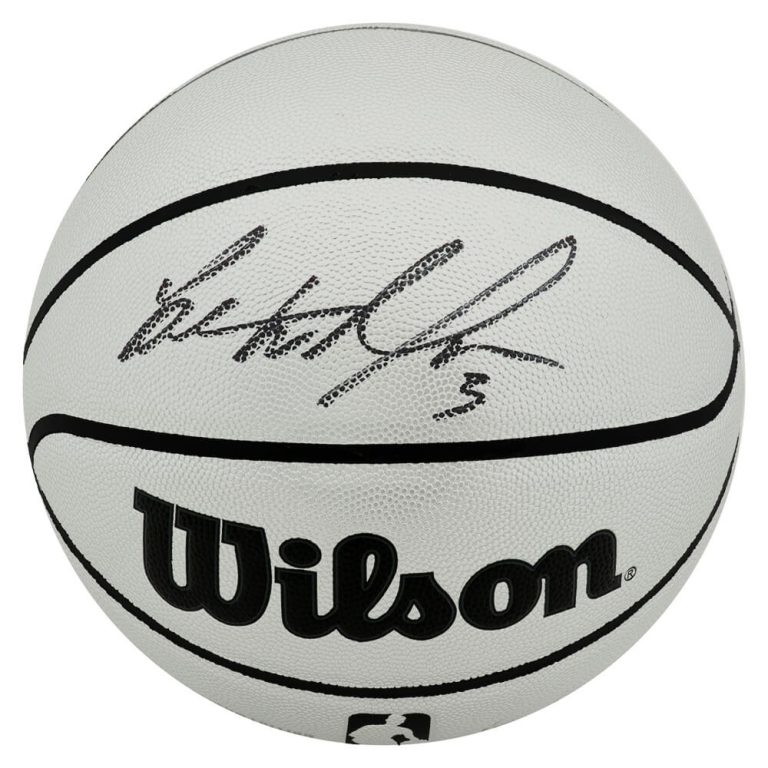 Ben Wallace Signed Wilson Platinum  Full Size NBA Basketball -(SCHWARTZ COA)