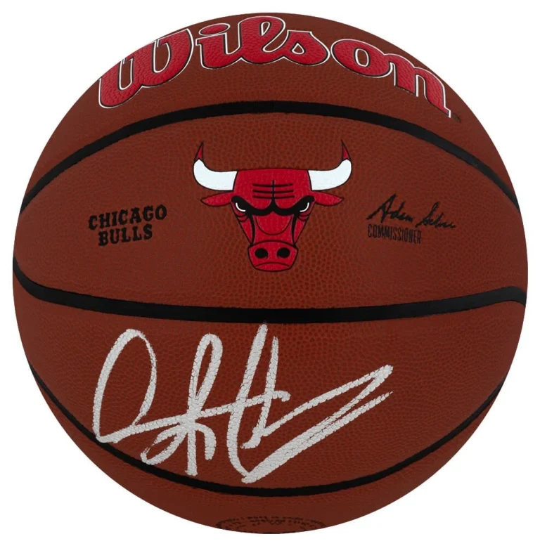 Dennis Rodman Signed Bulls Logo Wilson Alliance NBA Basketball - (SCHWARTZ COA)
