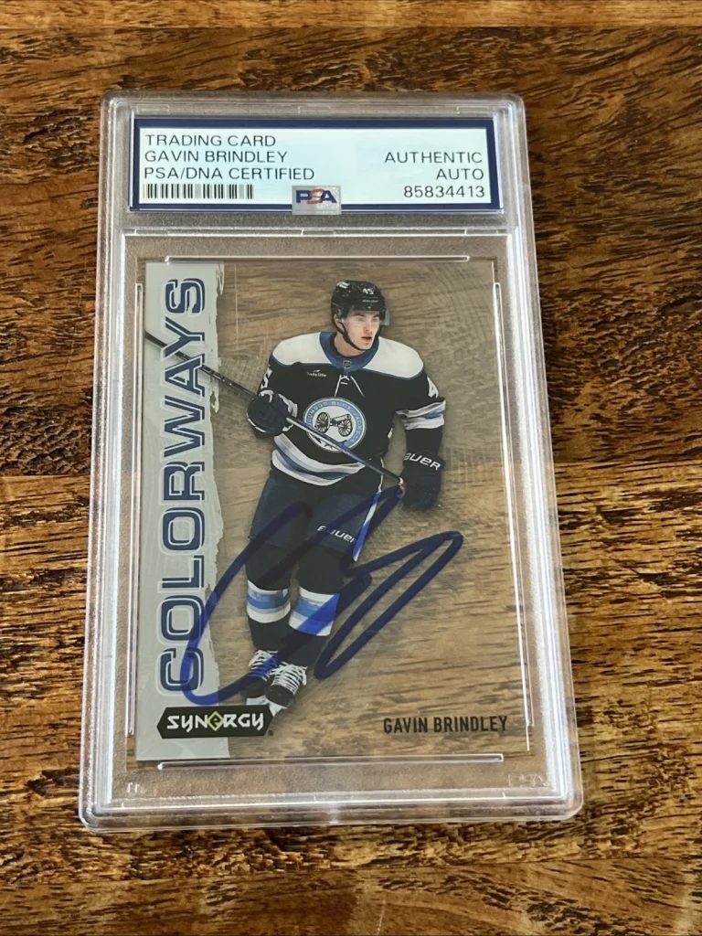 Gavin Brindley IP Signed UD Synergy RC Card PSA DNA Coa Slab Autographed