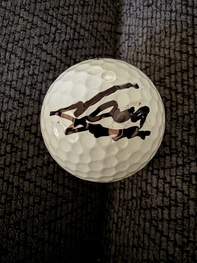 NASA Hataoka Signed Golf Ball Autographed LPGA