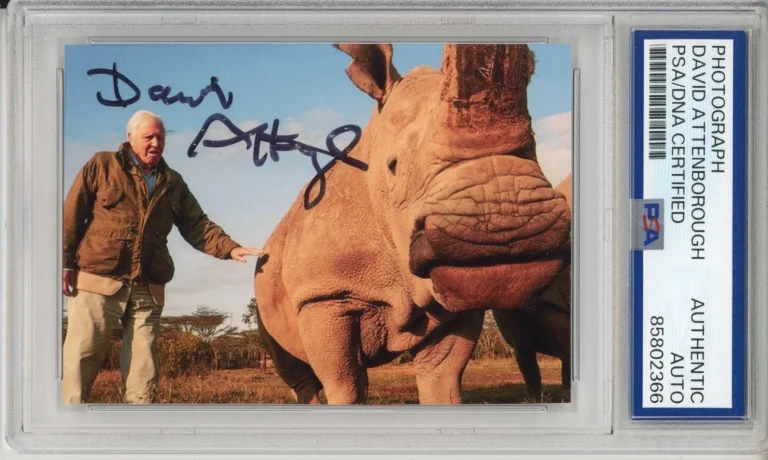 DAVID ATTENBOROUGH SIGNED AUTOGRAPH RHINO RHINOCEROS PHOTOGRAPH PSA DNA COA AUTO