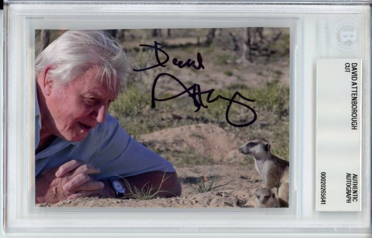 DAVID ATTENBOROUGH SIGNED ANIMAL PICTURE BAS BECKETT COA AUTOGRAPH PLANET EARTH