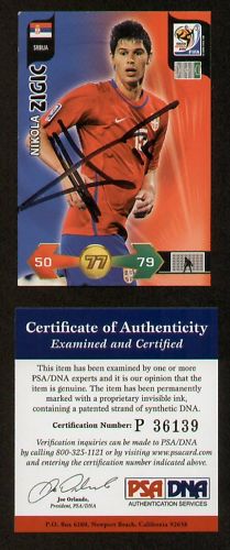 Nikola Zigic signed auto 2010 Panini World Cup PSA