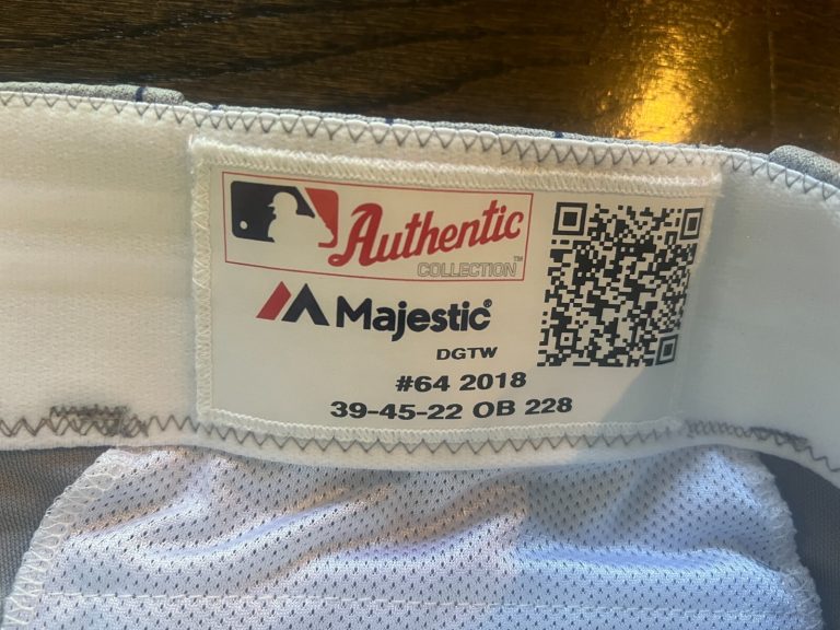 GAME USED ? ISSUED BASEBALL PANTS DETROIT TIGERS STARS TBTC 2018 CHAD BELL