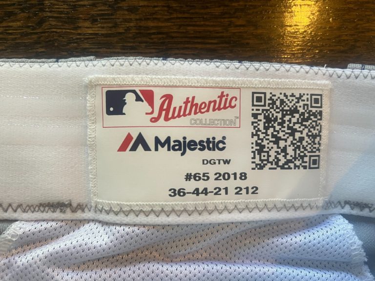 GAME USED ? ISSUED BASEBALL PANTS DETROIT TIGERS STARS TBTC 2018 #65