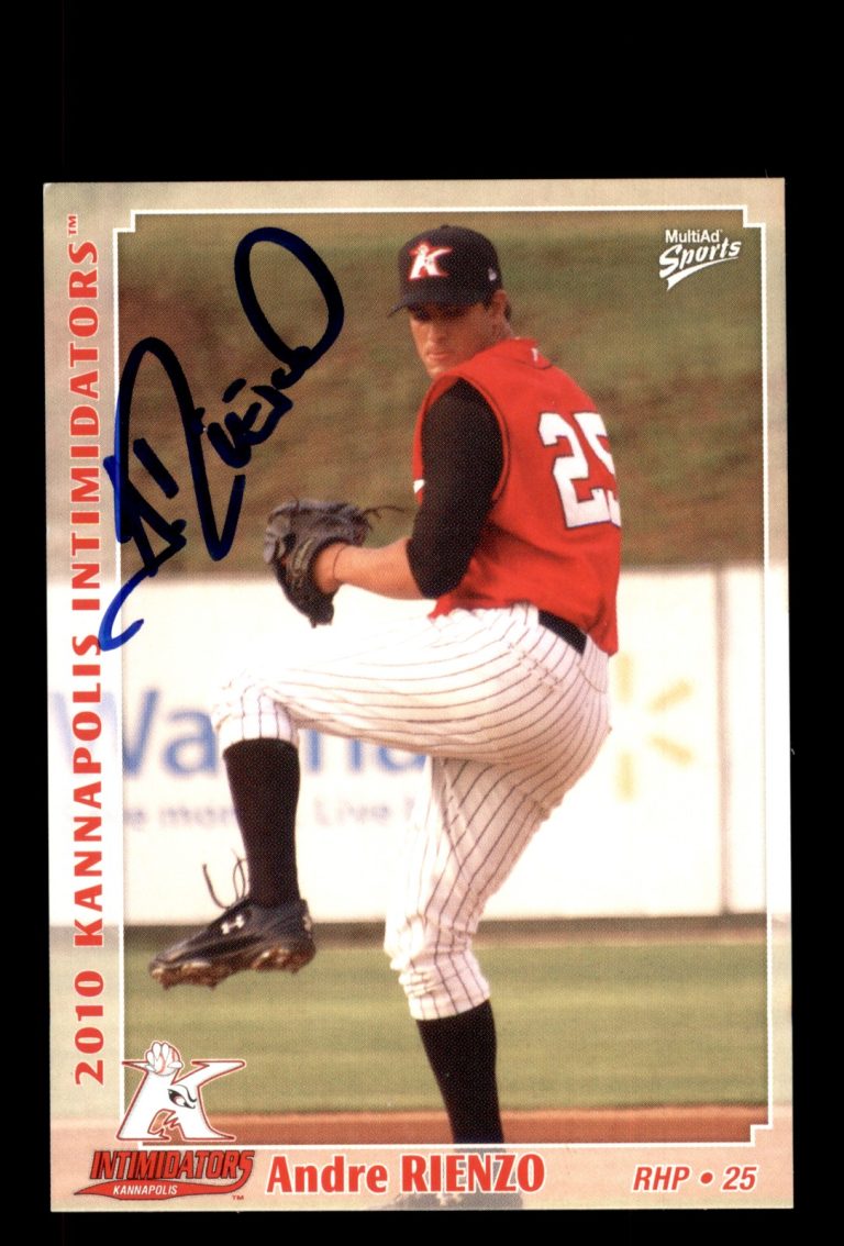 Signed Baseball Card Auto Andre Rienzo 2010 MultiAd Kannapolis Intimidators