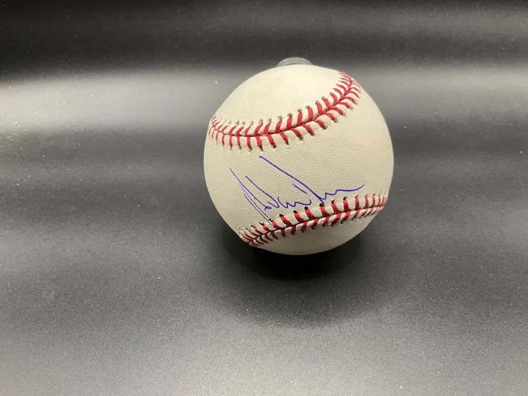 Adam Dunn Autograph Baseball Reds Dbacks Nationals White Sox Signed Ball Beckett