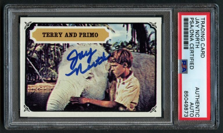 Jay North #18 signed autograph auto 1967 Terry & Primo Card PSA Slab