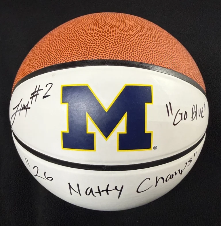 LJ Cason Signed Multi-Inscribed Michigan Wolverines M Logo Basketball JSA COA