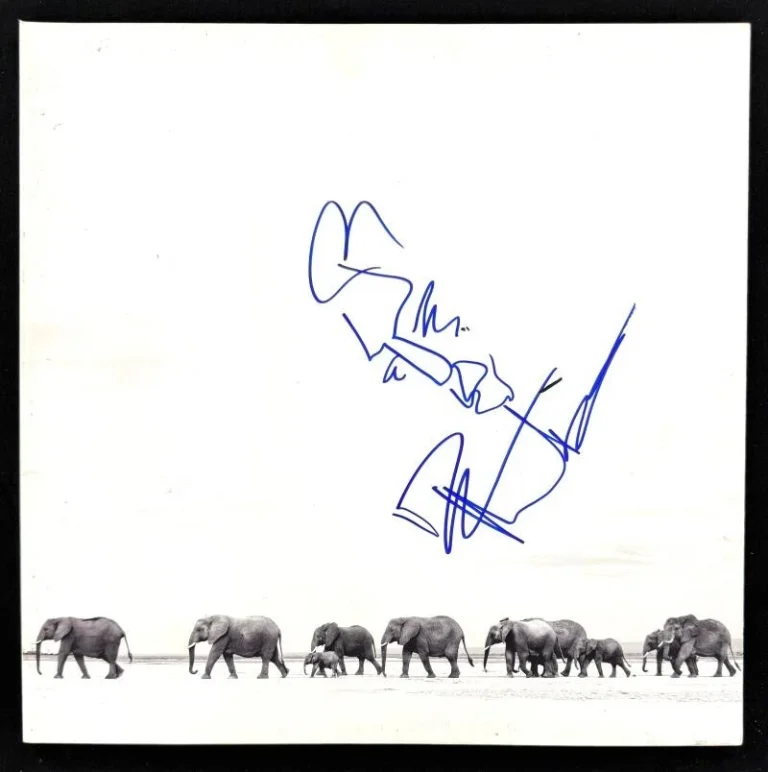 Dave Matthews Signed Autograph DMB Album Record w/ Original Art Sketch! BAS COA