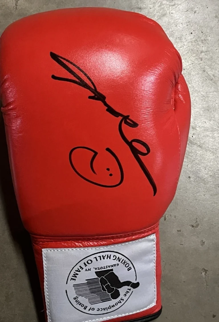 SUGAR RAY LEONARD SIGNED AUTOGRAPHED BOXING HOF GLOVE JSA COA RARE LEGEND CHAMP