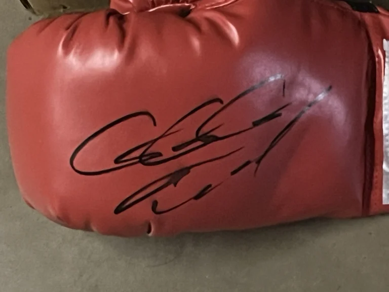 BOXING CHAMPION GENNADY GOLOVKIN TRIPLE G SIGNED AUTOGRAPH GLOVE JSA HOF 2026