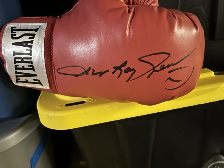 SUGAR RAY LEONARD SIGNED AUTOGRAPHED BOXING HOF GLOVE JSA COA RARE FULL NAME