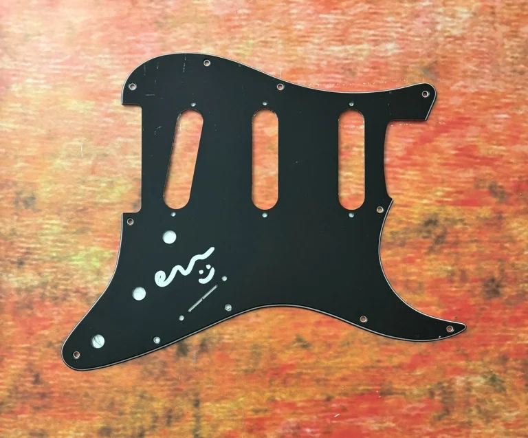 GFA The Chats Band  * FLAMIN EAMON SANDWITH *  Signed Electric Pickguard COA