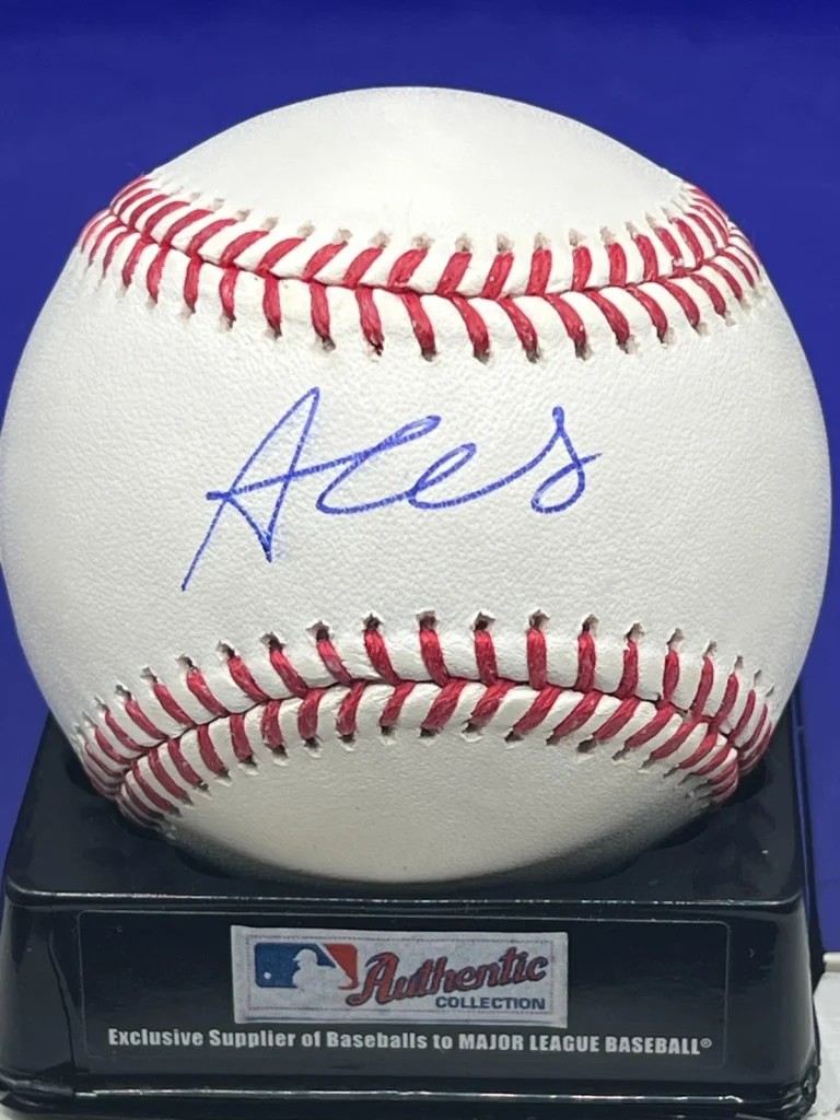 AUSTIN WELLS NEW YORK YANKEES FANATICS AUTHENTICATED SIGNED OML BASEBALL