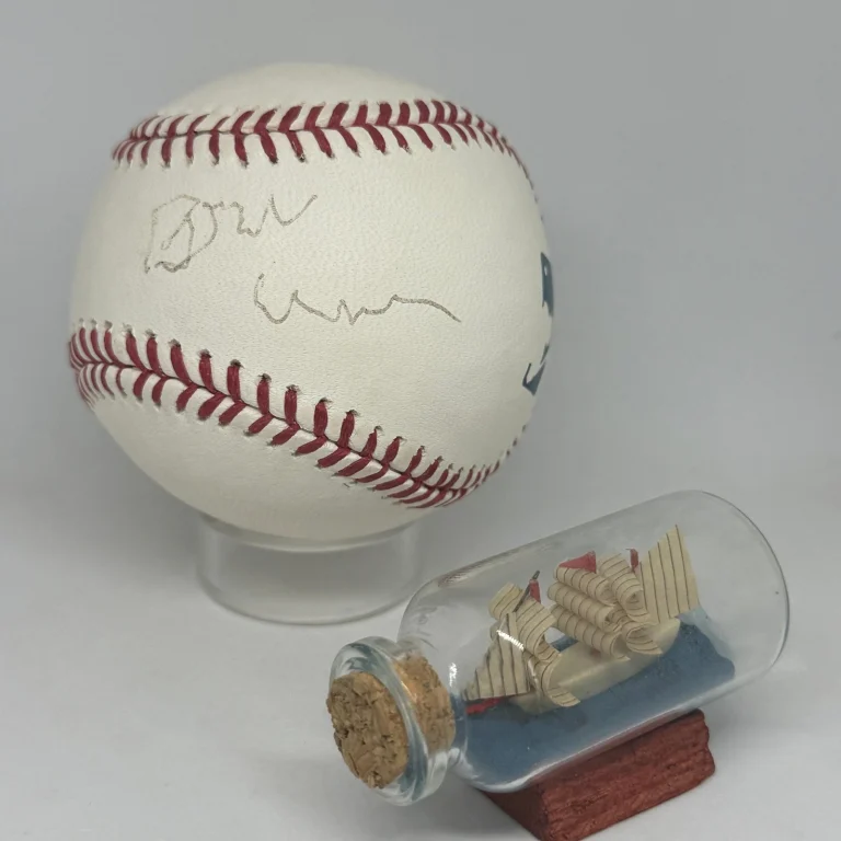 Brian Wilson signed Rawlings OML Baseball JSA COA Beach Boys Music Auto A4591