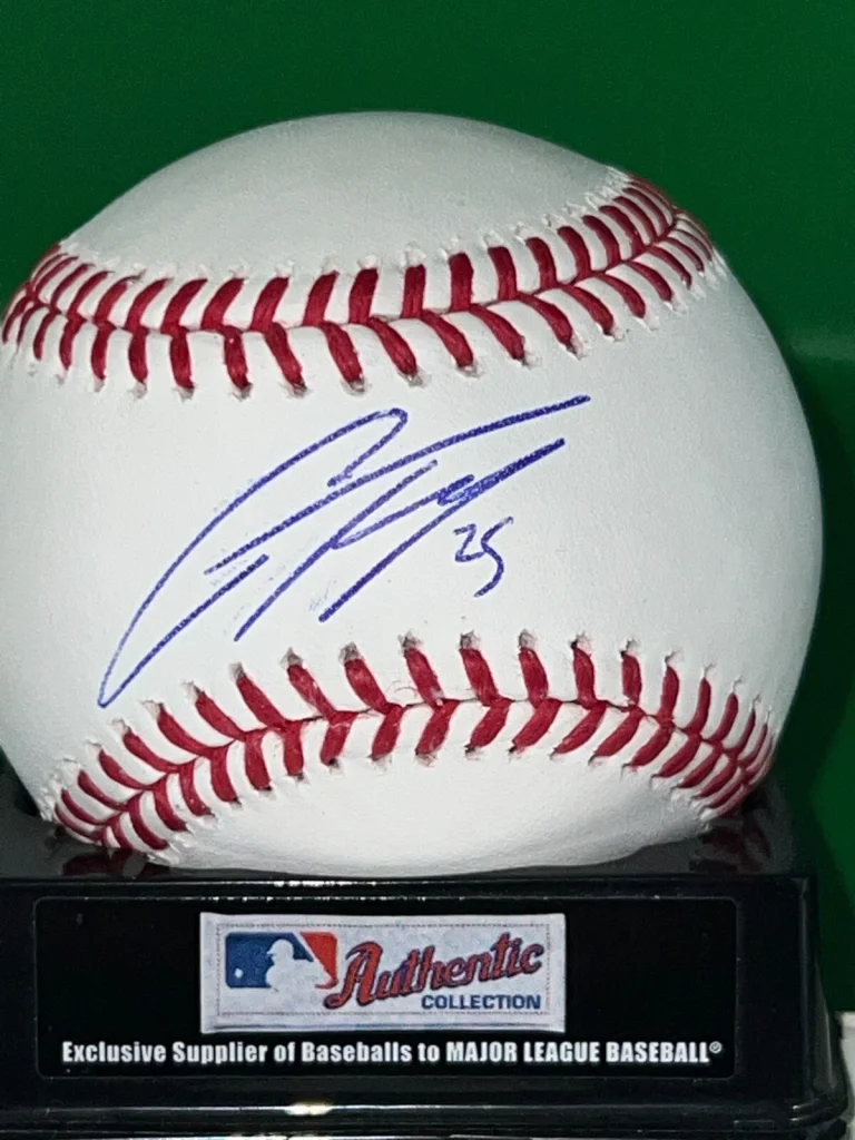 GLEYBER TORRES  NEW YORK YANKEES    SIGNED OFFICIAL MAJOR LEAGUE BASEBALL