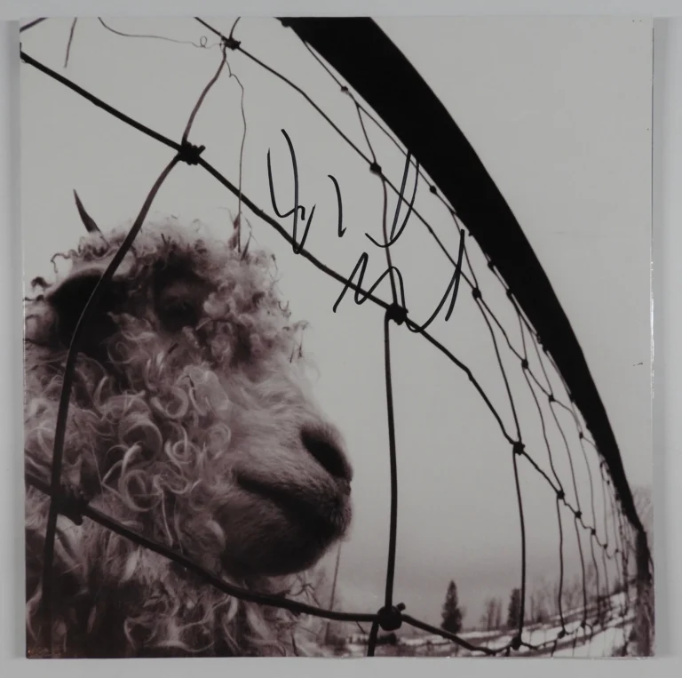 Pearl Jam Mike McCready Signed Autograph JSA Vinyl Record Album Vs.
