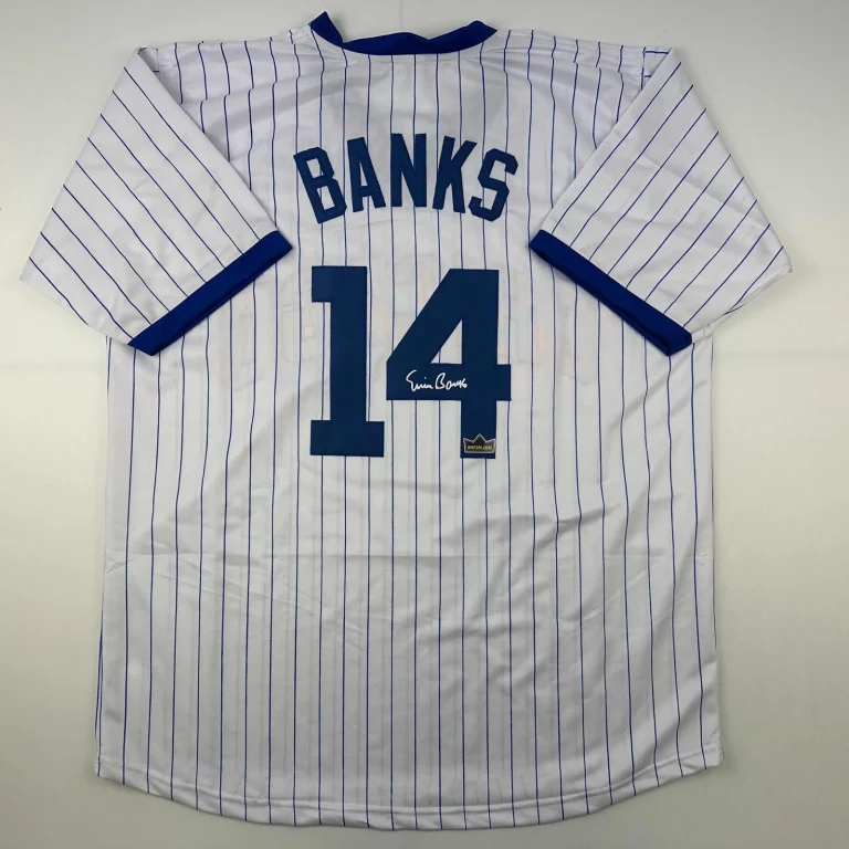 Facsimile Autographed Ernie Banks Chicago Pinstripe Reprint Auto Jersey Men's XL