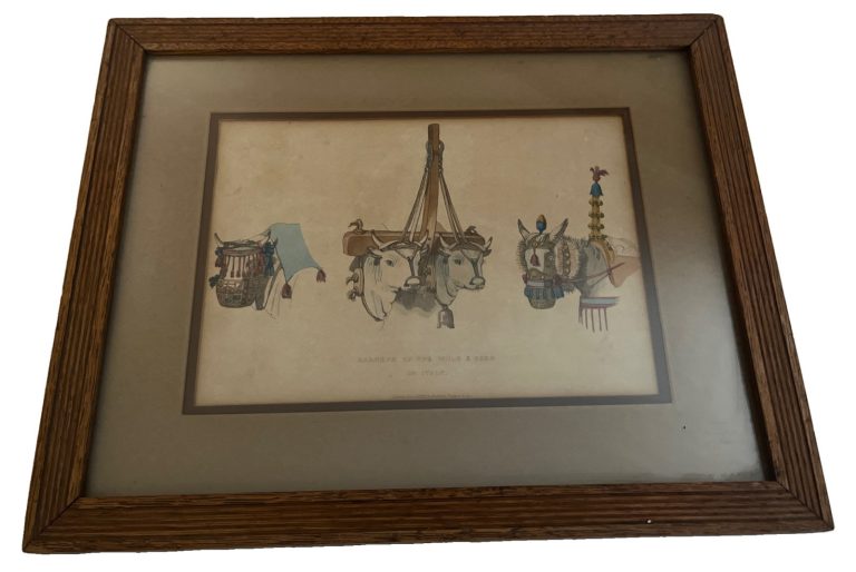 Vintage Framed Print Harness of The Mule & Oxen Italy 1800's 13.5