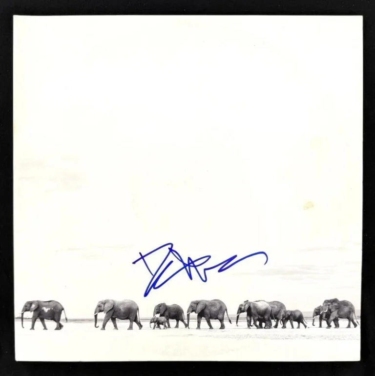 Dave Matthews Signed Autograph DMB Band Where Are You Going Album Record BAS COA