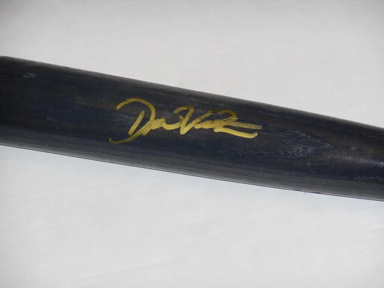 DREW VETTLESON AUTOGRAPHED BAT (TAMPA BAY RAYS) - Spring Training Used Bat!