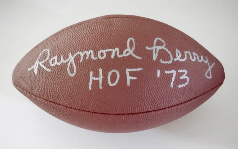 RAYMOND BERRY AUTOGRAPHED JUNIOR SIZED WILSON NFL FOOTBALL (COLTS) W/ COA!