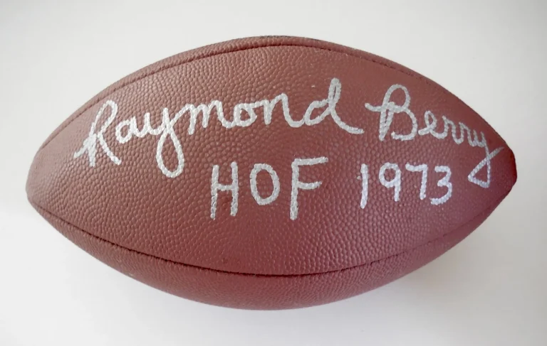 RAYMOND BERRY AUTOGRAPHED JUNIOR SIZED WILSON NFL FOOTBALL (COLTS) W/ COA!