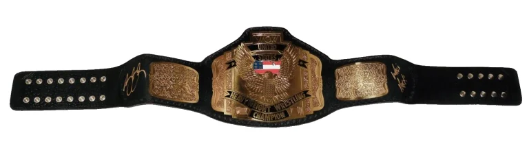 BILL GOLDBERG AUTOGRAPHED FULL SIZED CHAMPIONSHIP BELT (WCW / WWE) - PSA DNA!